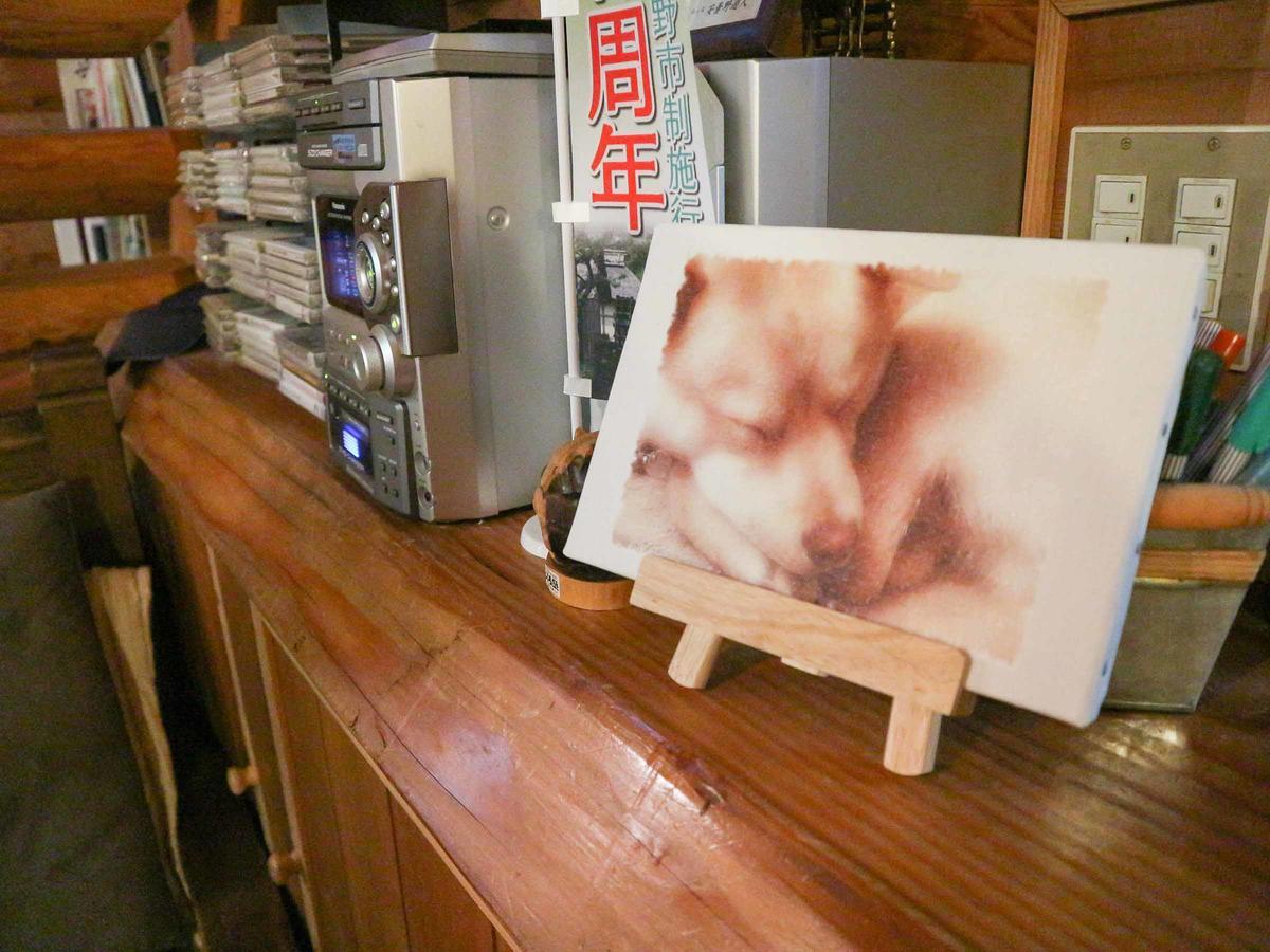 Canadian Loghouse Inn Azuminoyujin Extérieur photo