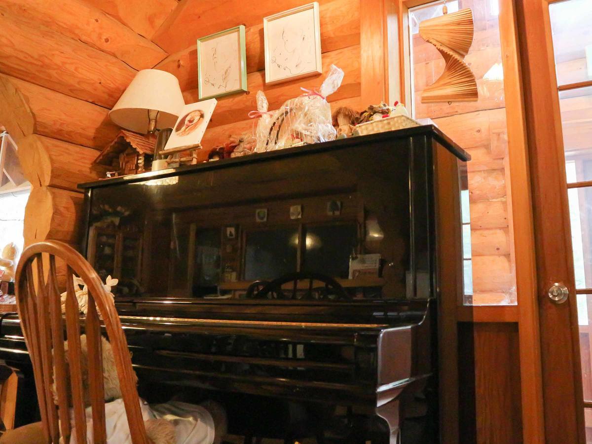 Canadian Loghouse Inn Azuminoyujin Extérieur photo